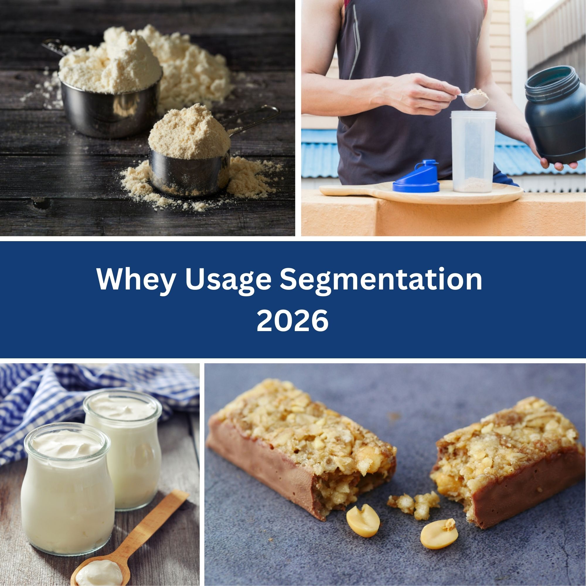Whey Usage Segmentation 2026